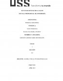 DAFO personal hacia una marca fuerte