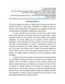 ¿Qué nos dice el Censo 2020 sobre religión en México?