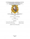 Informe 5 - Polimeros