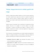 Aseguramiento de la calidad y gestión del riesgo