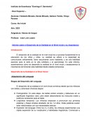 Informe sobre el Desarrollo de la Oralidad en el Nivel Inicial y su Importancia