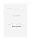 Contratación y afiliación a Seguridad Social en el entorno laboral