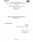 Producción y comercialización de velas artesanales (Diseño del producto)