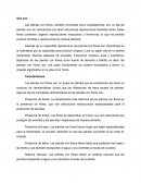 Las plantas con flores