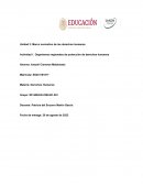 Organismos regionales de protección de derechos humanos