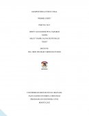 Mamposteria estructural