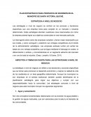 Estrategias Caso Santa Victoria