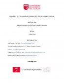 Didáctica Integradora De Las Áreas Técnicas Profesionales