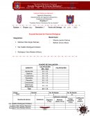 Cambios físicos y químicos de los aceites