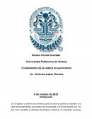 Fundamenotos de la cadena de suministros