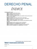 Derecho penal y control social
