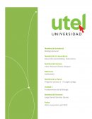 El origen de los seres vivos según los griegos