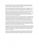 La sociedad del riesgo