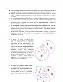 Los montículos de termitas