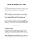 El Controlador Lógico Programable