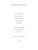 Formulación de empresa Water Club