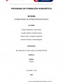 Contaminación de la Playa Hermosa (Ancón)