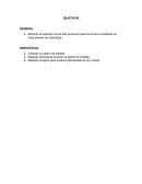 Medición de los tres primeros pisos de la torre occidental