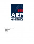 Tipo de estructura organizacional. Organigrama