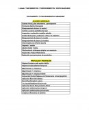 Tratamiento y procedimientos Semadent