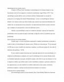 Metodología de los sistemas suaves