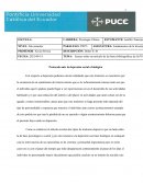 Ensayo sobre un artículo de las bases bibliográficas de la PUCE