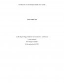 Introducción a la Psicoterapia centrada en el sentido