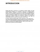 Lideres de la paz promocion 2023-2025