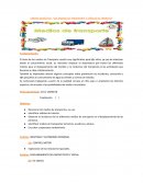 Los medios de transporte y señales de transito