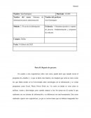 Reporte de sistemas de información