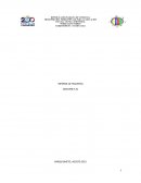 Informe de pasantias (Mecanica Industrial) Dalmine S.A