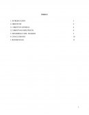 Teorias modernas de administración