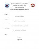 Guia practica nA 12: Plan de producción cultivos forrajeros