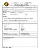 Determinación de ácido úrico