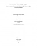 ¿Turismo en el Pacifico colombiano?