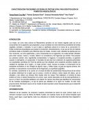 Caracterización fisicoquímica de resina de protium copal para identificación en pigmentos arqueológicos