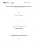 Mineria- Impactos ambientale en los ecosistemas acuaticos y en comunidades ribereñas