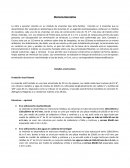 Memoria descriptiva - Tetracasa