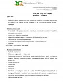 Trabajo analítico y reflexivo