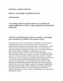 Individuo y medio ambiente