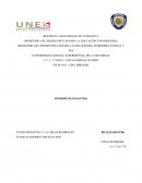 Informe de pasantias. Policía Municipal Plaza