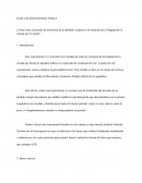Evaluación interna física - Péndulo