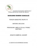 El cancer no es una enfermdedad incurable
