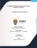 Resumen ejecutivo del capitulo 6 Promoción de ventas para vendedores y el comercio