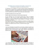 Estrategias para la enseñanza del inglés a nivel primaria