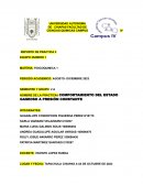 Práctica: Comportamiento del estado gaseoso a presión constante