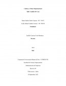 Cultura y Clima Organizacional. Taller Análisis De Caso