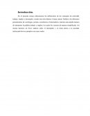 Categorias y ocupaciones básicas en Mexico