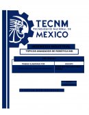 Tema Investigado Robotica Industrial