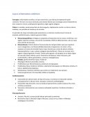 Cuadro clínico de LES